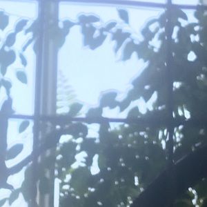 Meet your Posher, Ingrid